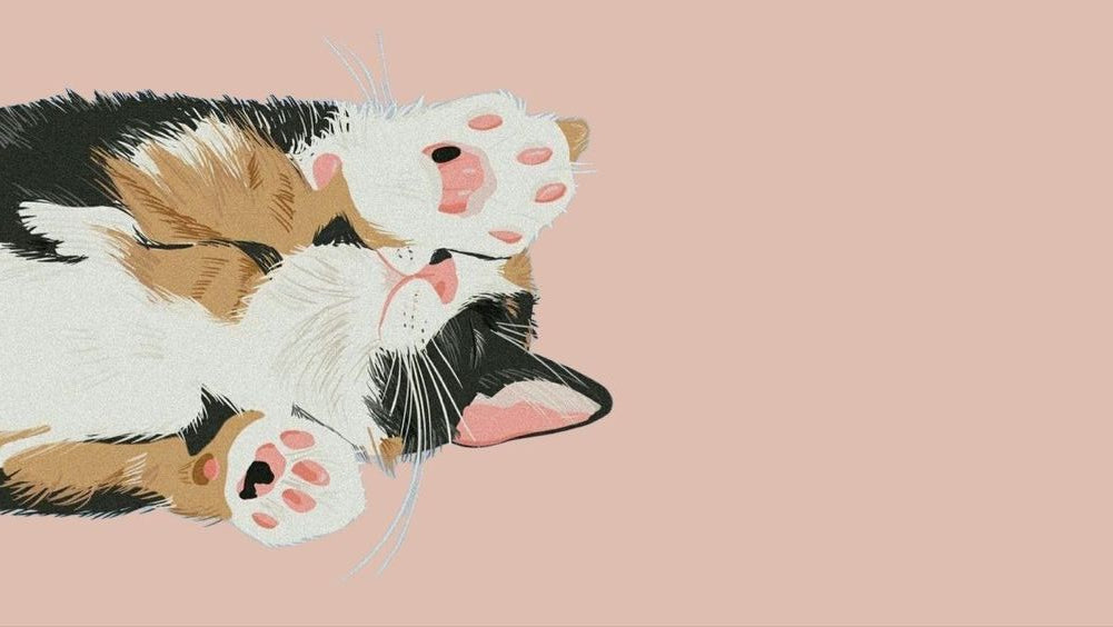 Comprendre le Langage Corporel de Votre Chat : Un Guide Unique pour Décoder les Mystères Félines