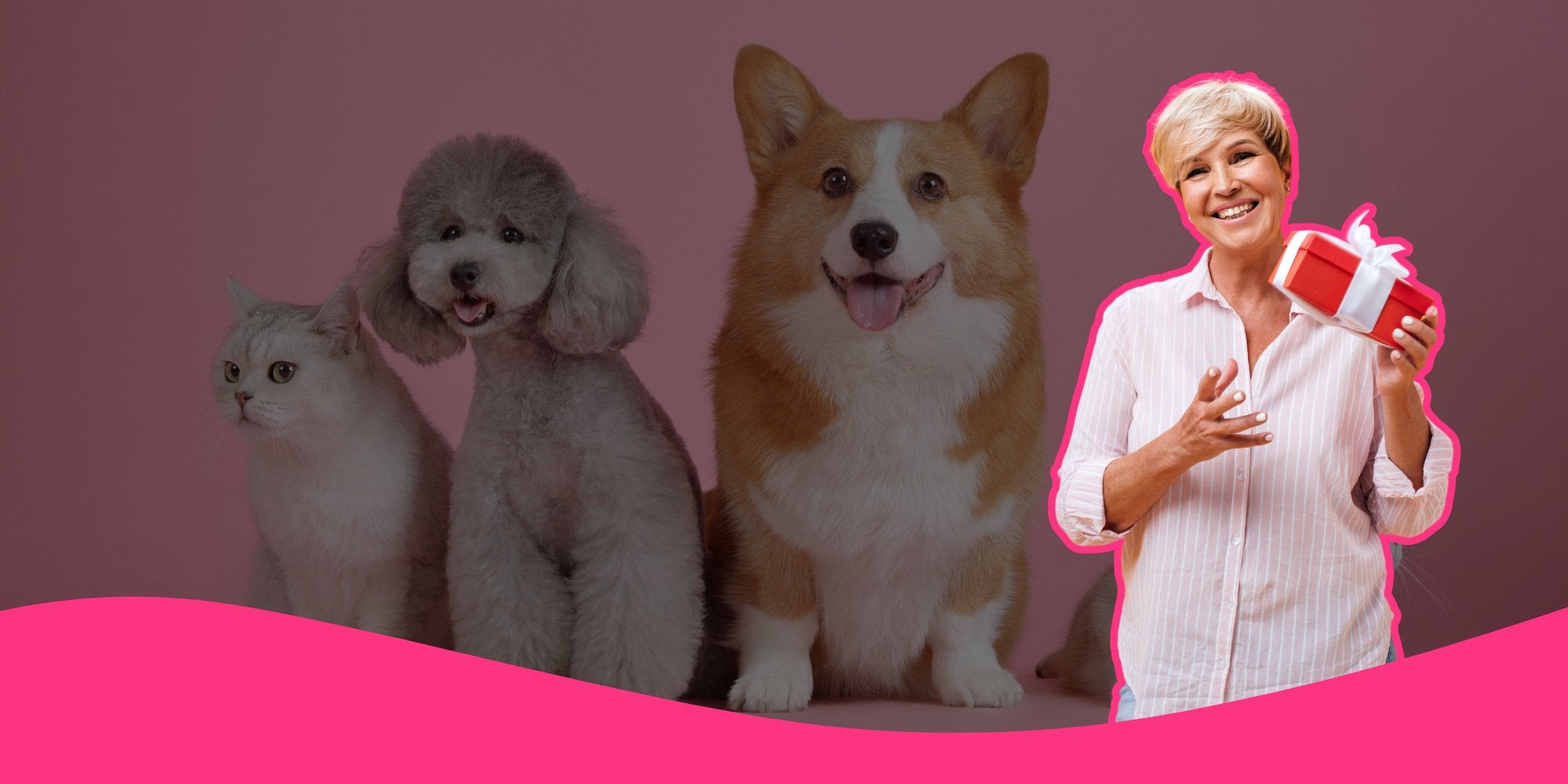 Compagnons à Quatre Pattes