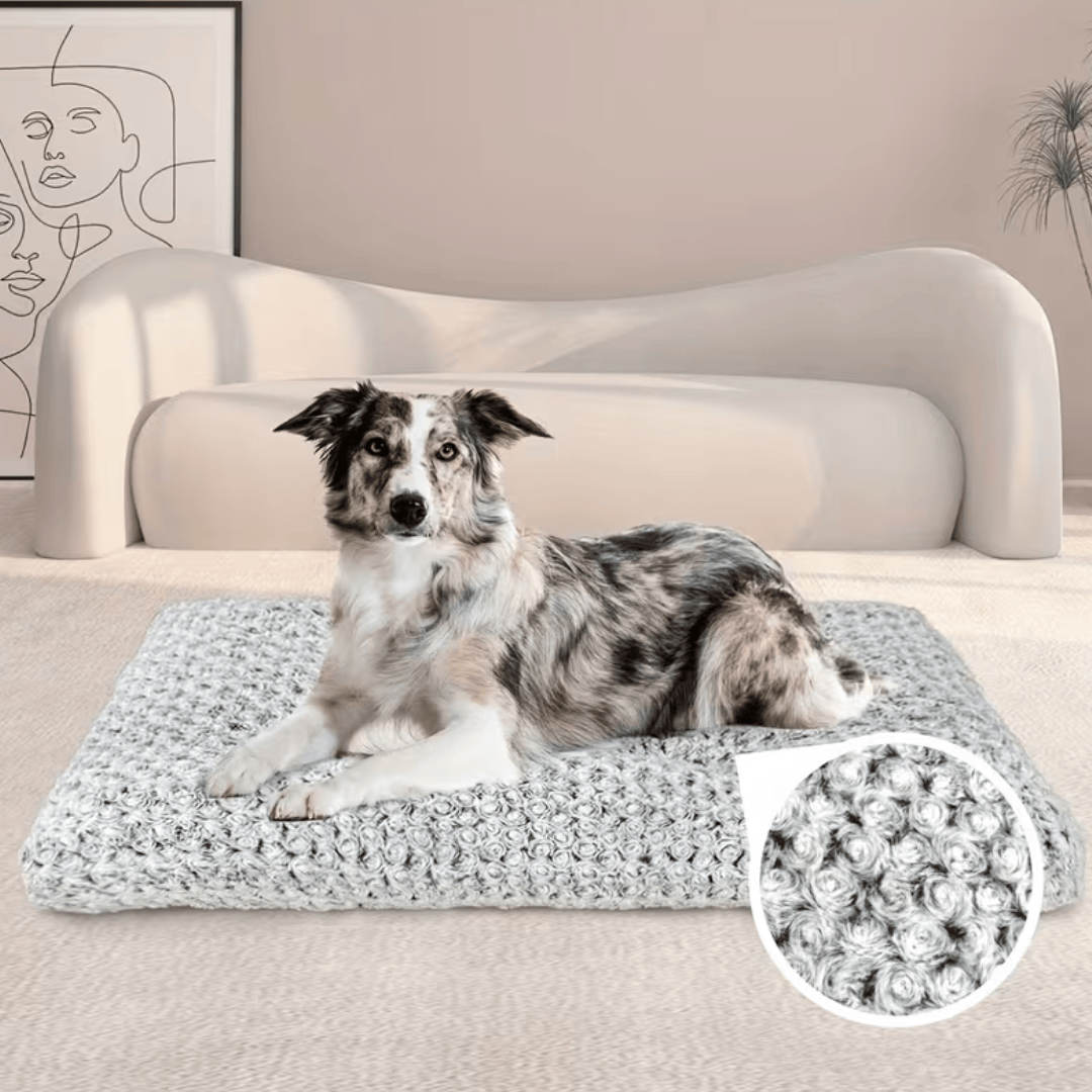 Lit Relaxant Ultra Moelleux pour Chien