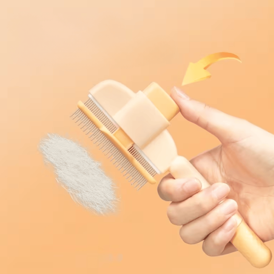 Brosse Anti-Poils Intelligente Double-Fonction