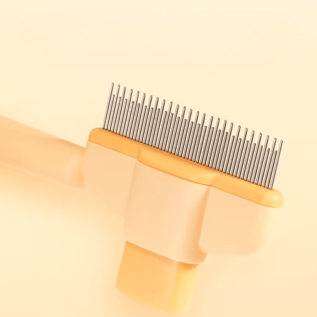 Brosse Anti-Poils Intelligente Double-Fonction