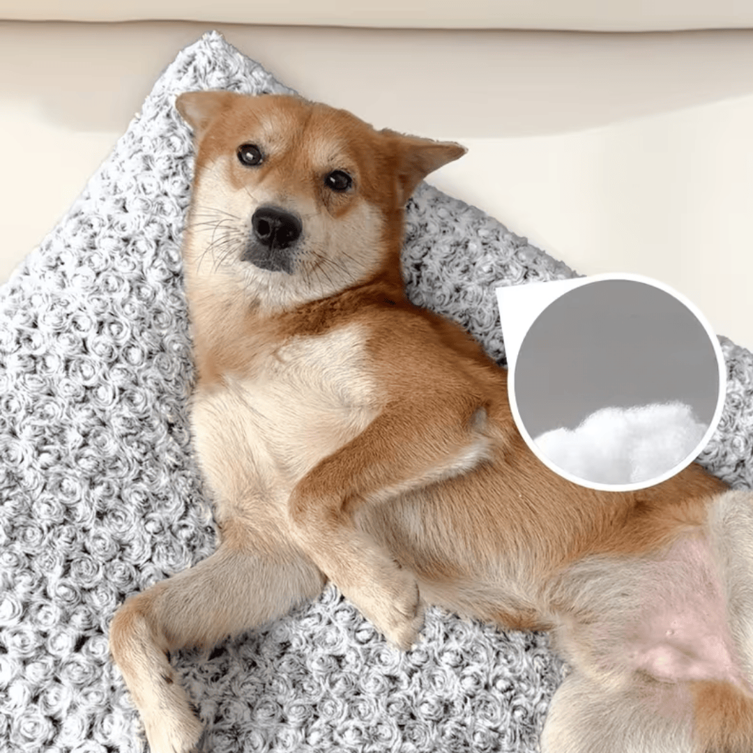 Lit Relaxant Ultra Moelleux pour Chien