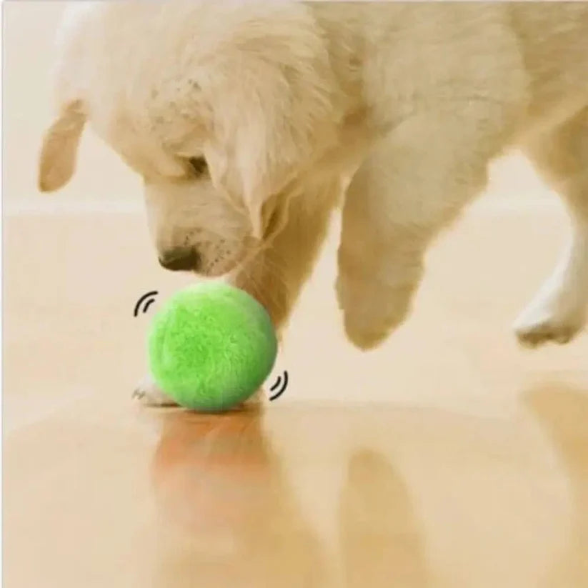 Balle Interactive Ultra-Résistante pour Chien