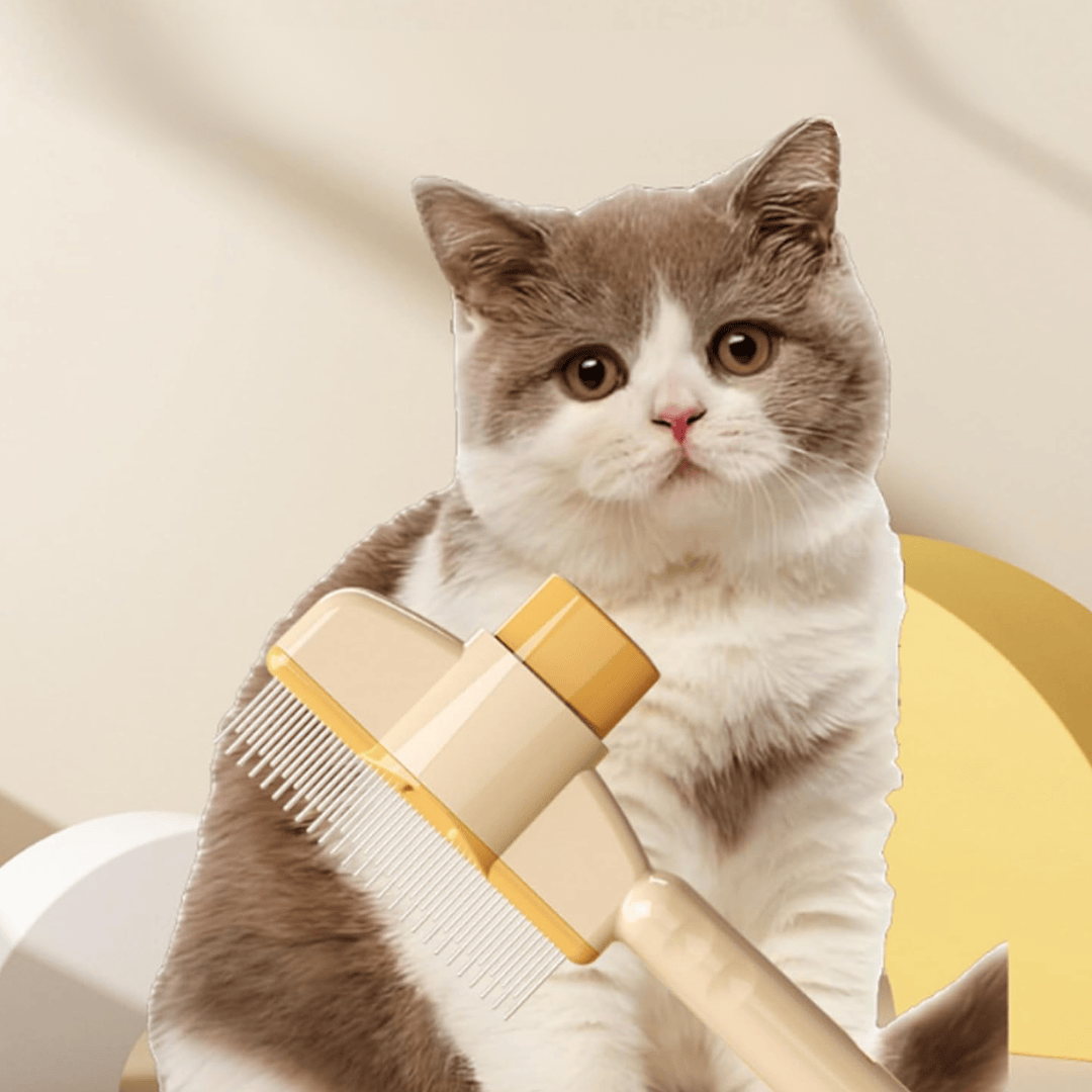 Brosse Anti-Poils Intelligente Double-Fonction