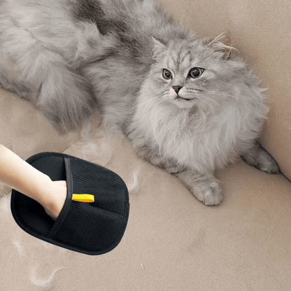 Gant Brosse Double-Face Intelligente
