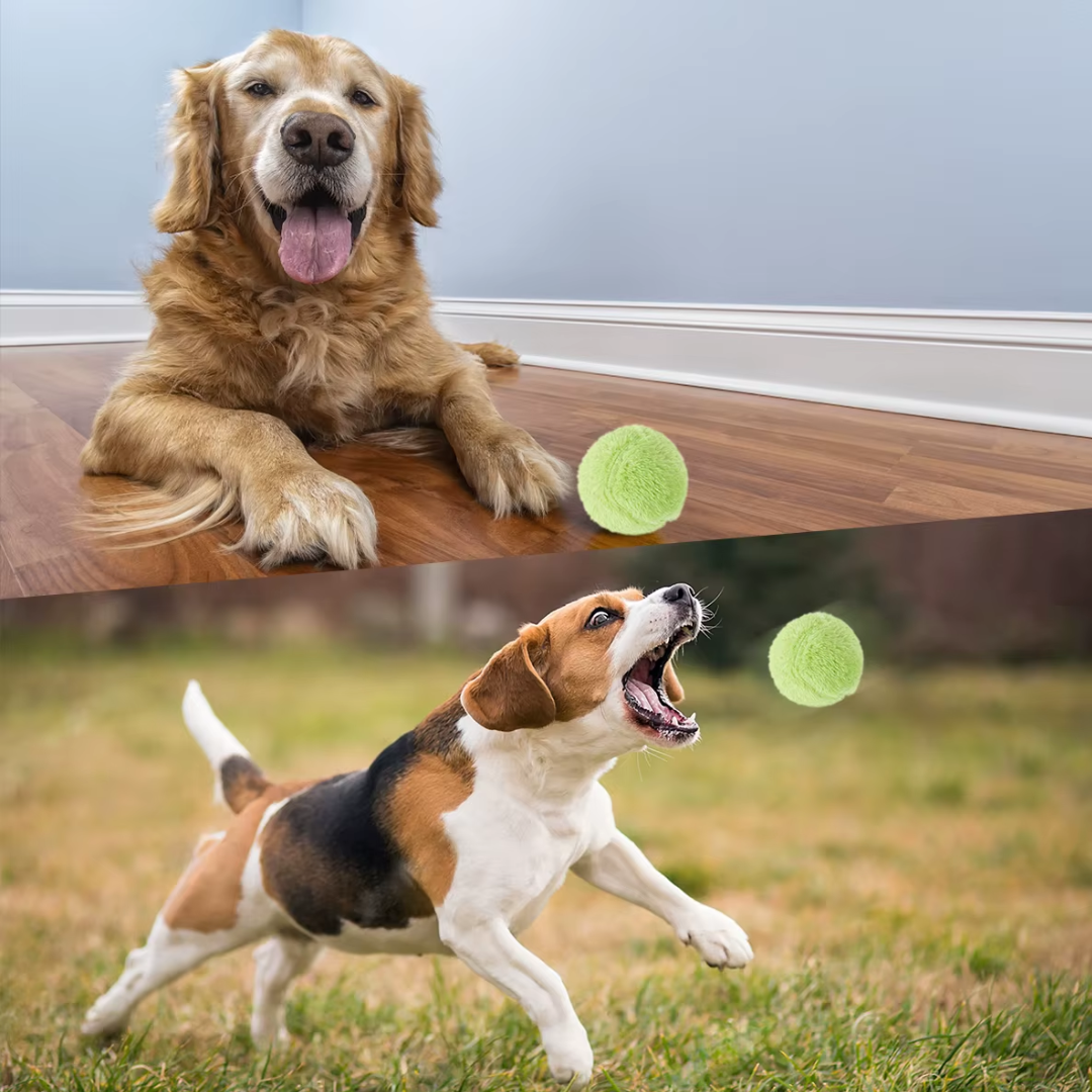 Balle Interactive Ultra-Résistante pour Chien