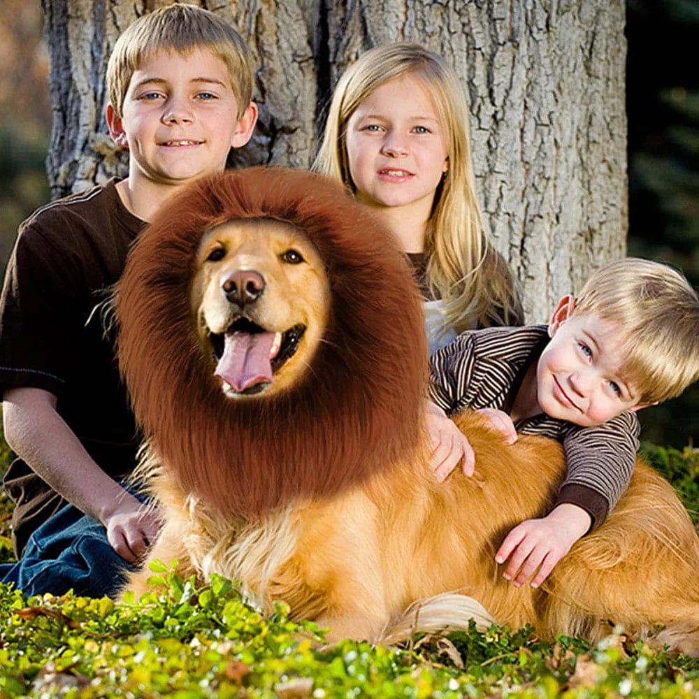 Perruque de Lion Réaliste pour Chien