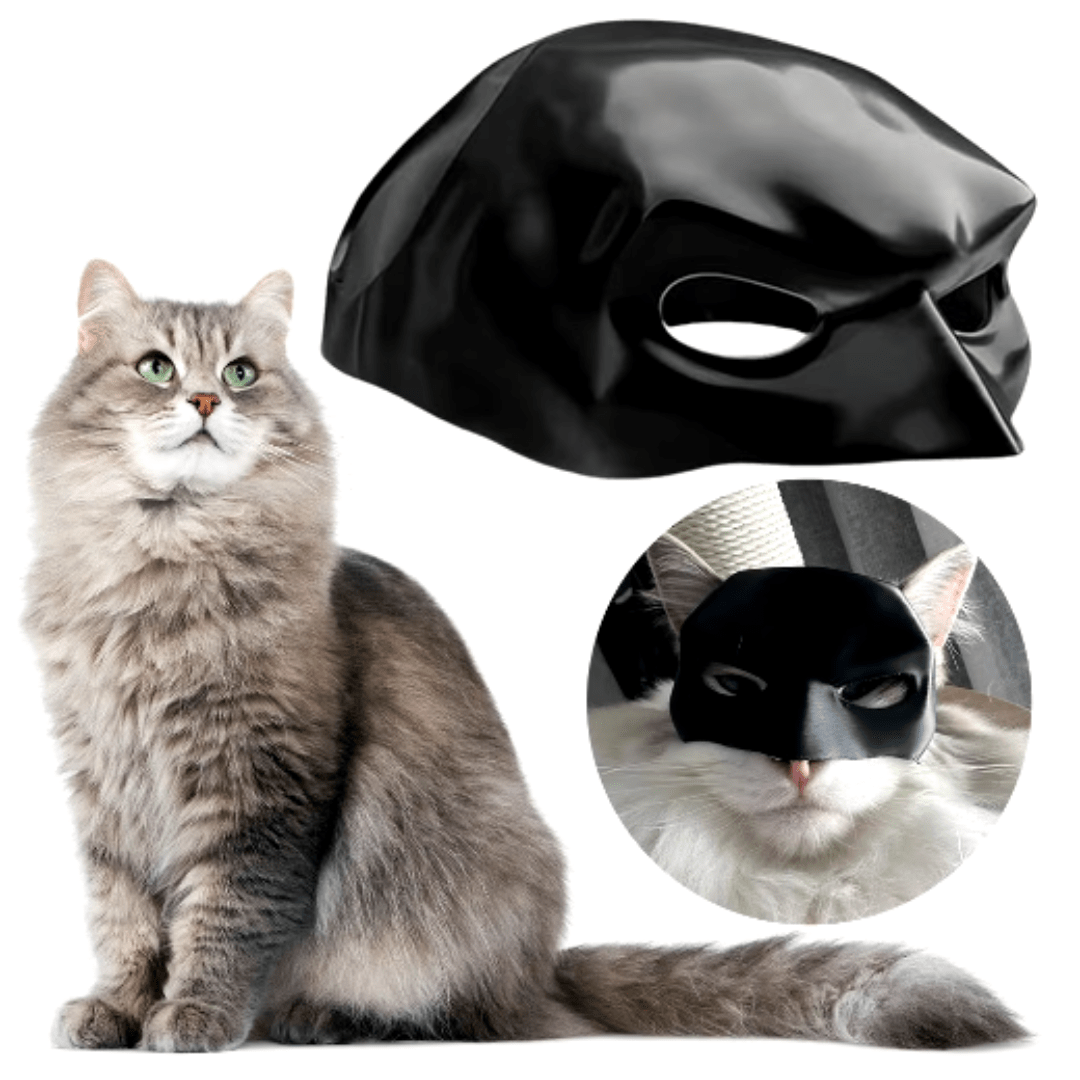 Masque Chauve-Souris Original pour Chat