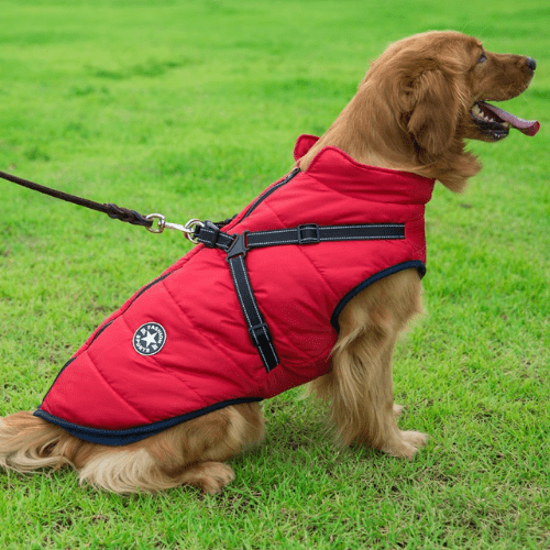 Manteau pour chien réchauffant et imperméable