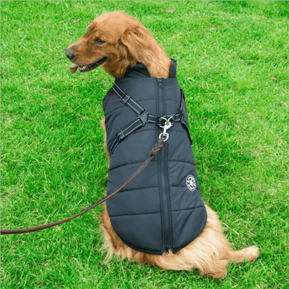 Manteau pour chien réchauffant et imperméable