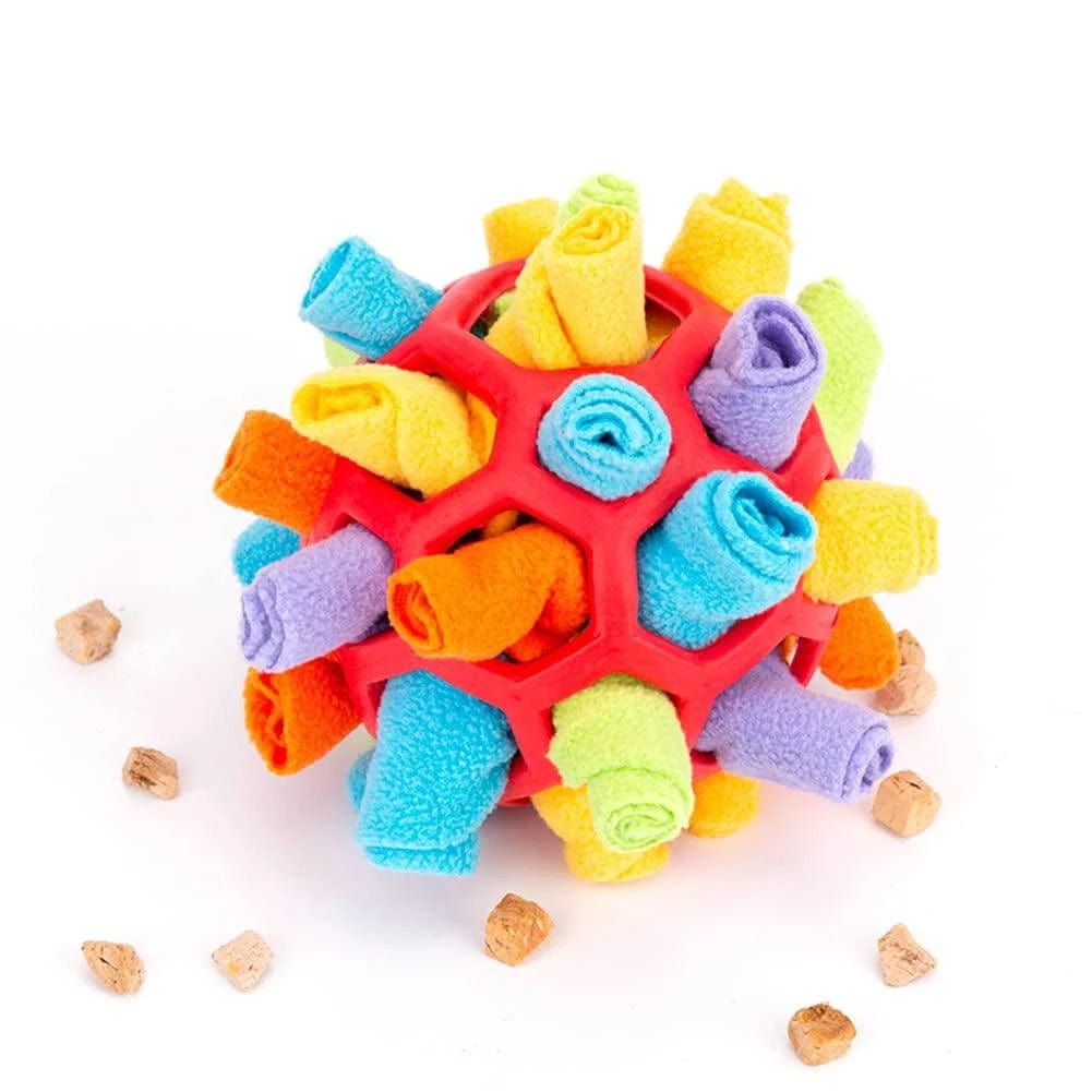 Jeu De Reniflage Pour Chien