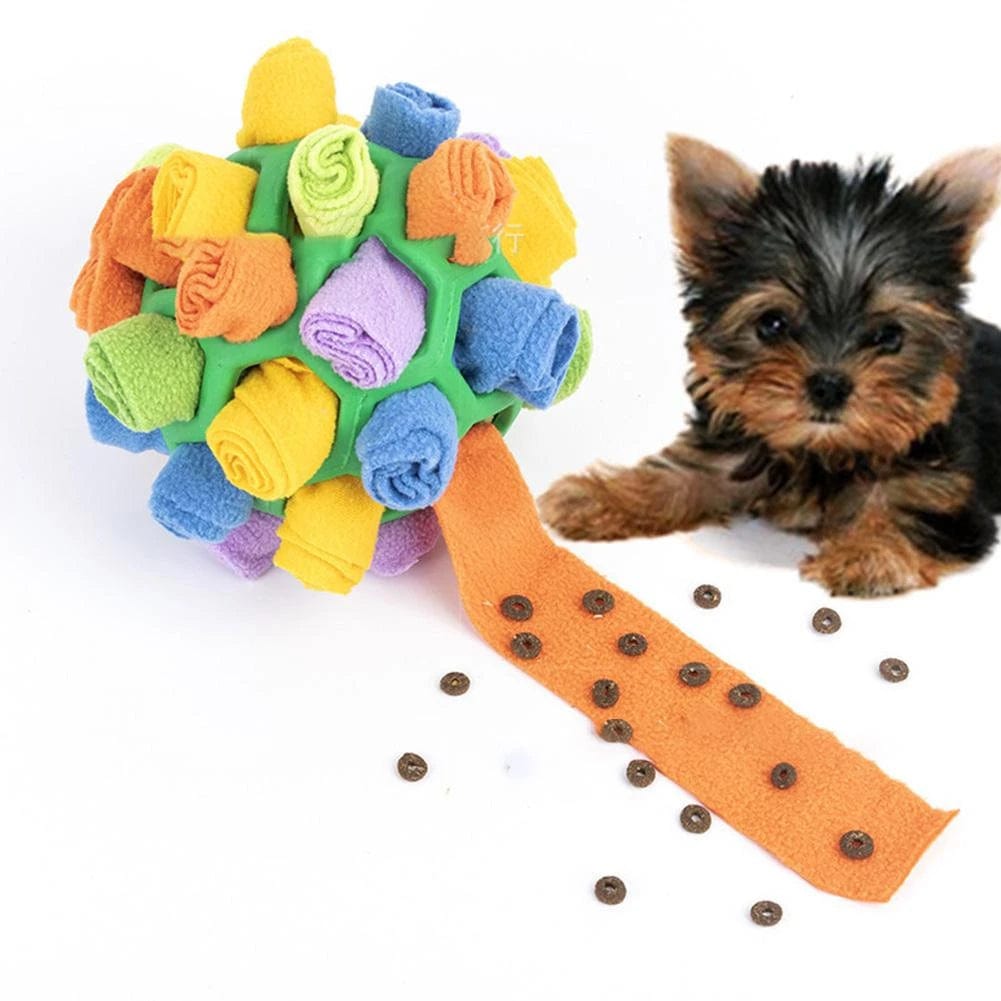 Jeu De Reniflage Pour Chien