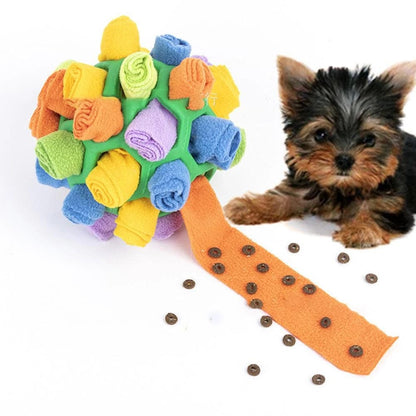 Jeu De Reniflage Pour Chien