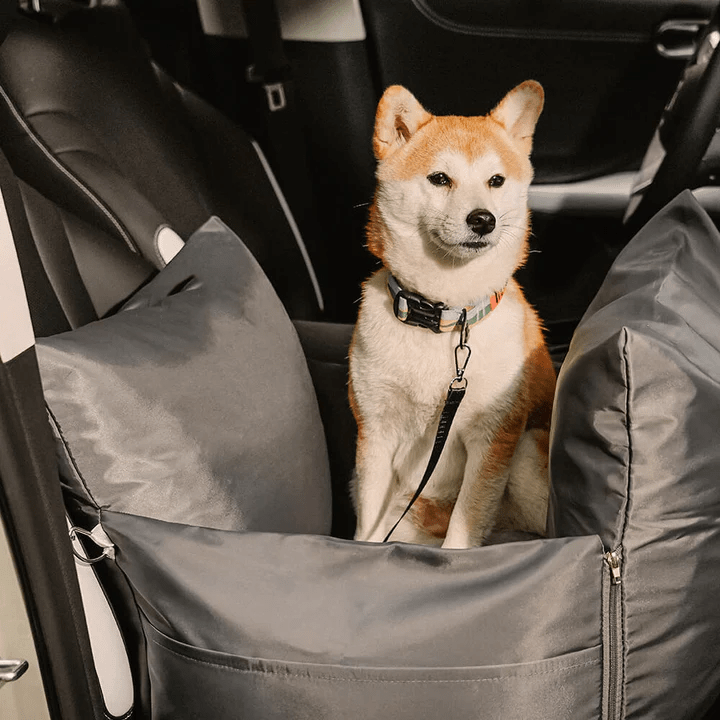 Dog Basket in Car 