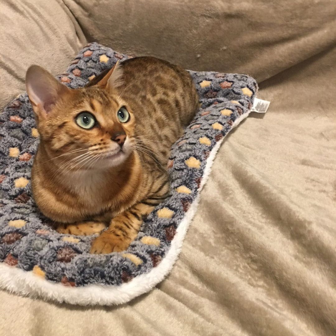 Soothing Cat Blanket