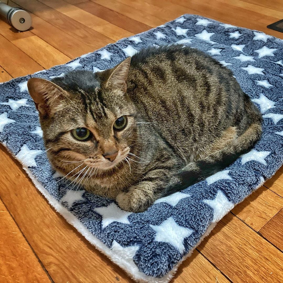 Soothing Cat Blanket