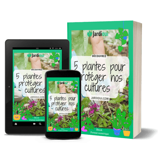 Jardioui 5 plantes pour protéger nos cultures - Livre numérique