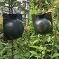 Jardioui Boules d'enracinement de plantes (lot de 5)