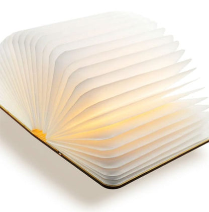 Livre lumineux en bois magnétique