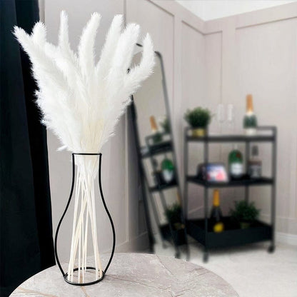 SilhouetteVases Pampas Grass